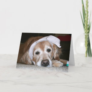 Tarjeta Golden Retriever se pone bien pronto con la tarjet