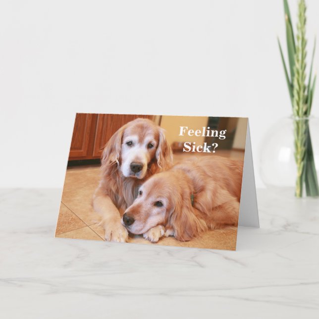 Tarjeta Golden Retriever se siente mal (Anverso)