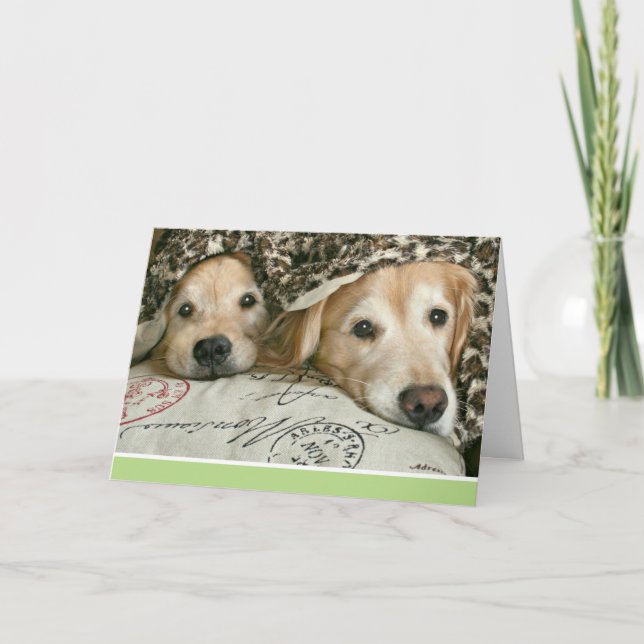 Tarjeta Golden Retriever se siente mal (Anverso)