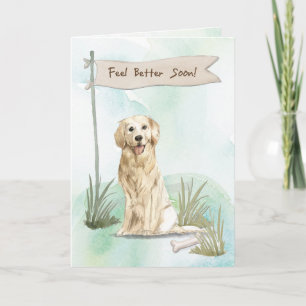 Tarjeta Golden Retriever se siente mejor después de la cir