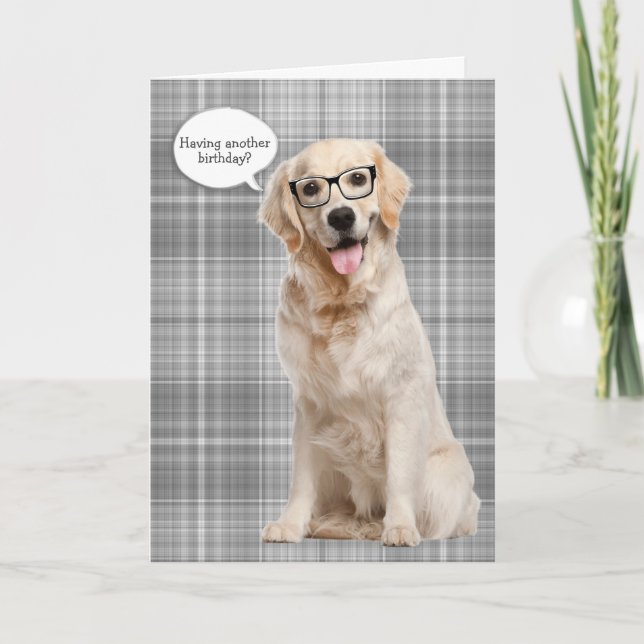 Tarjeta Golden Retriever sobre el humor de cumpleaños de p (Anverso)