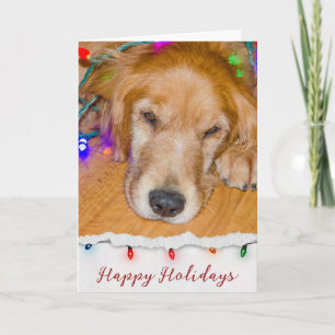 Tarjeta Golden Retriever Tanbleed In Lights