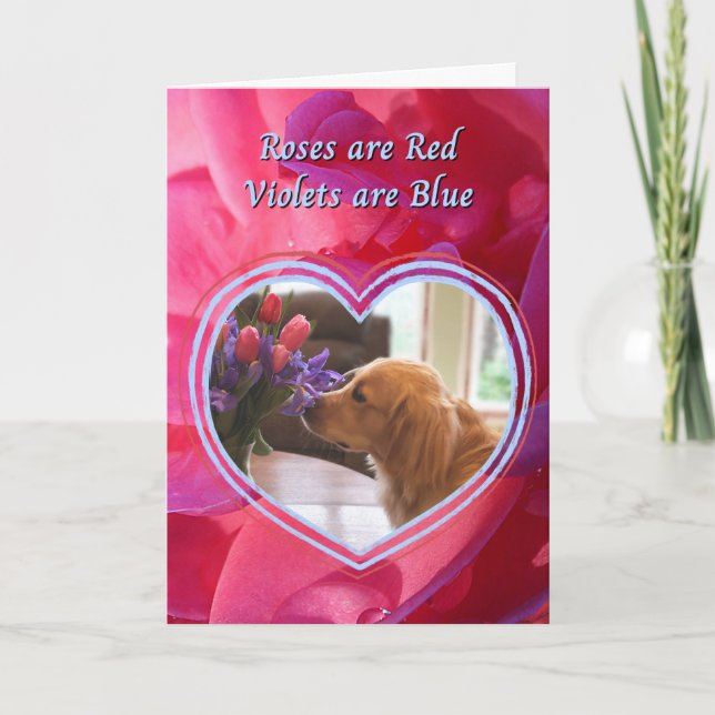 Tarjeta Golden Retriever The Dog es mi San Valentín favori (Anverso)