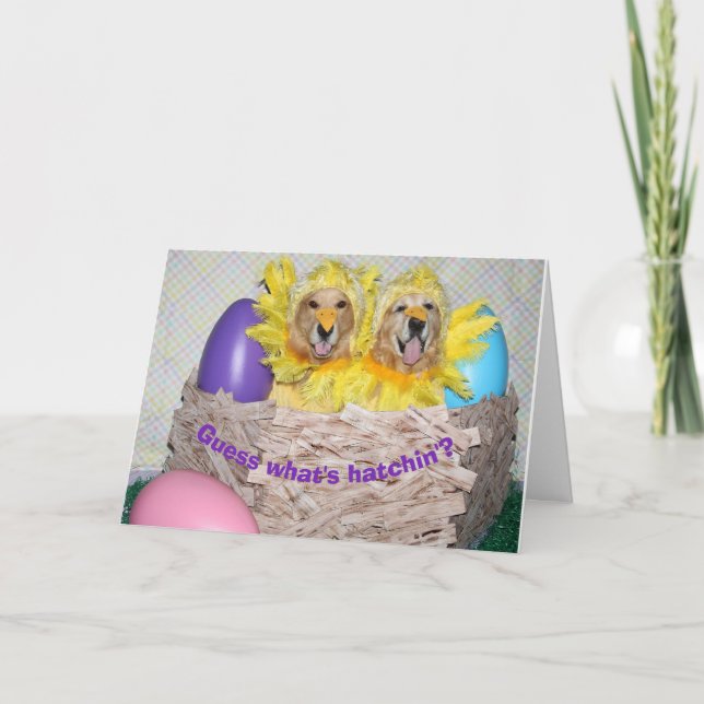 Tarjeta Golden Retriever What's Hatchin' Easter (Anverso)