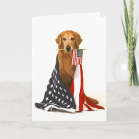Golden retriever y bandera americana