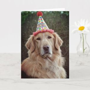 Tarjeta Golden Retriever y sombrero de fiesta con Feliz Cu