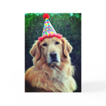 Golden Retriever y sombrero de fiesta con Feliz Cu