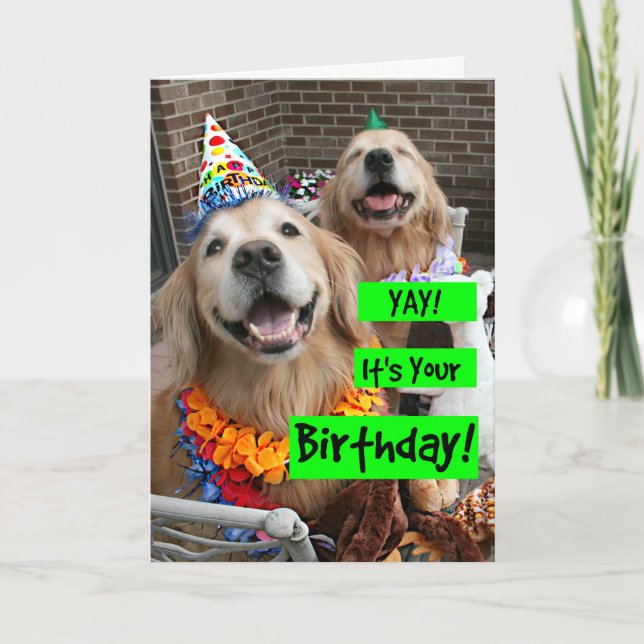 Tarjeta Golden Retriever Yay Es tu cumpleaños (Anverso)