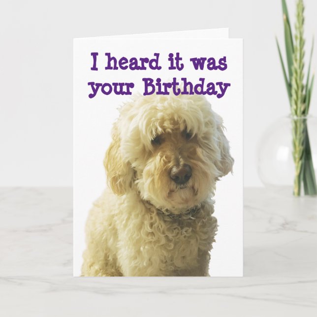 Tarjeta GoldenDoodle, Birthday Doodle Wires (Anverso)