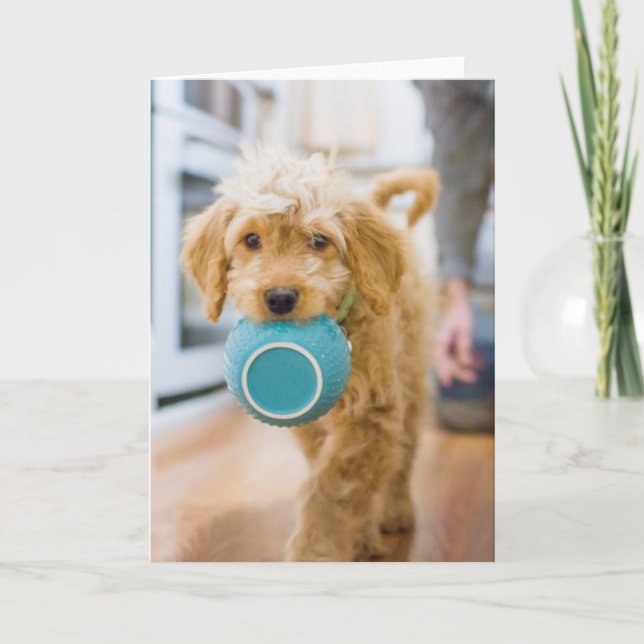 Tarjeta Goldendoodle Carporting Dinner Bowl (Anverso)