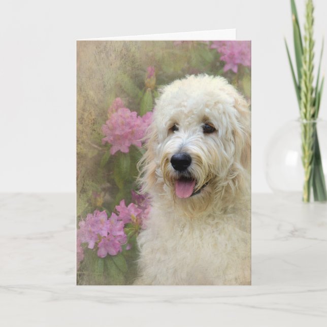 Tarjeta Goldendoodle con textura (Anverso)