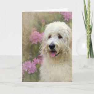 Tarjeta Goldendoodle con textura