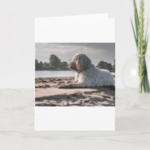 Tarjeta goldendoodle en la playa