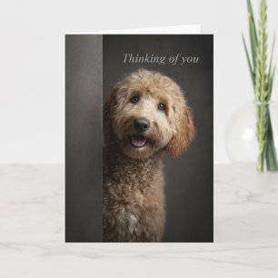 Tarjeta Goldendoodle Pensando en Ti