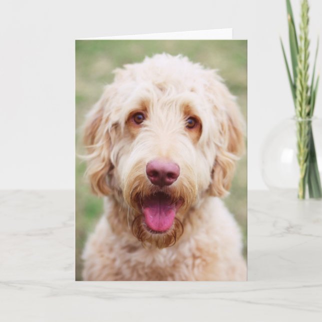 Tarjeta Goldendoodle Smiling (Anverso)