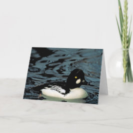 Tarjeta Goldeneye Duck