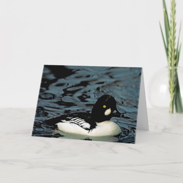 Tarjeta Goldeneye Duck (Anverso)