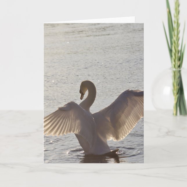 Tarjeta GoldenHourSwan (Anverso)
