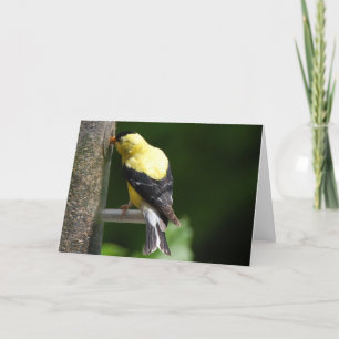 Tarjeta Goldfinch