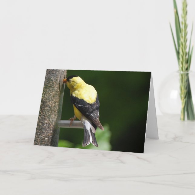 Tarjeta Goldfinch (Anverso)
