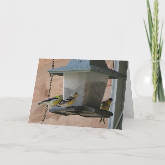 Tarjeta Goldfinch/alegría (Anverso)