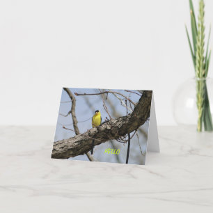 Tarjeta Goldfinch, brillante y alegre