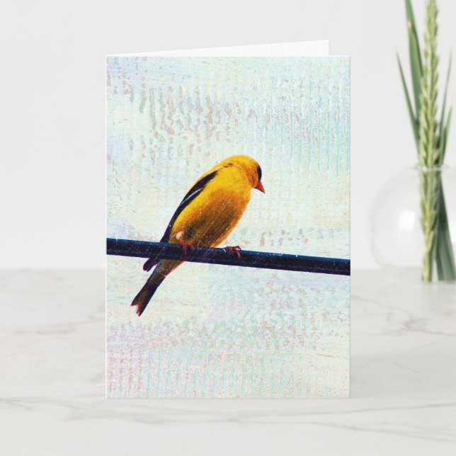 Tarjeta Goldfinch en una línea de energía (Anverso)