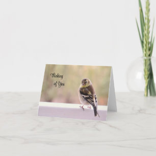 Tarjeta Goldfinch - Pensar en tu carta