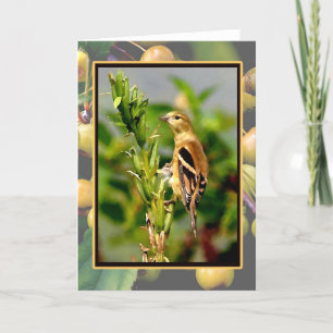 Tarjeta Goldfinch y Crabapples Notecard del otoño