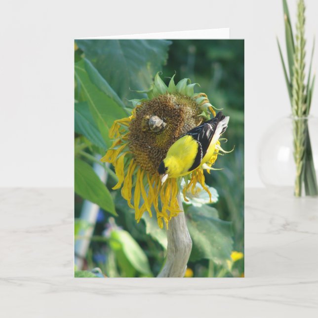 Tarjeta Goldfinch y un girasol (Anverso)