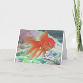 Tarjeta Goldfish que habla