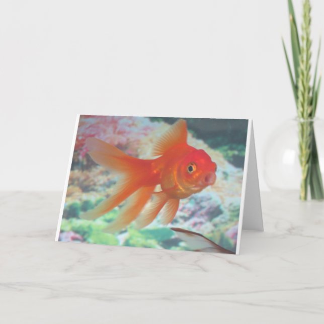 Tarjeta Goldfish que habla (Anverso)