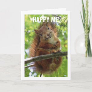 Tarjeta ¡GOOFY SQUIRREL DICE FELIZ CUARENTA CUARENTA! Tarj