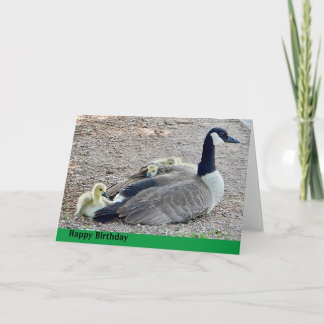 Tarjeta Goose con cumpleaños de bebé (Anverso)
