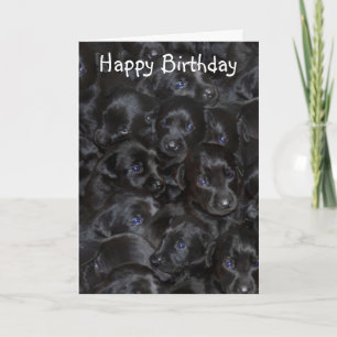 Tarjeta Gopas de labrador, cumpleaños feliz.