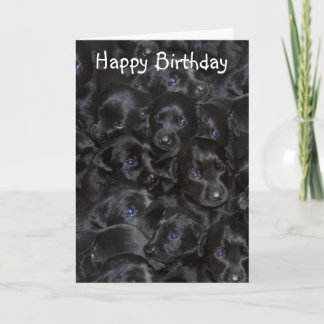 Tarjeta Gopas de labrador, cumpleaños feliz.