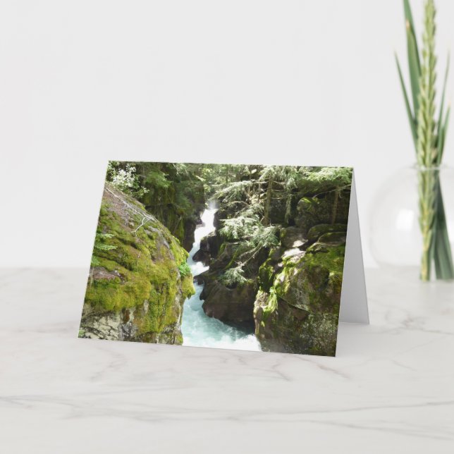 Tarjeta Gorge II de Avalanche en el Parque Nacional Glacia (Anverso)