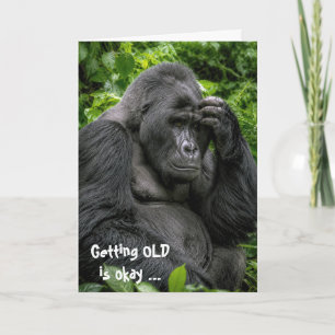 Tarjeta Gorila Silverback Cumpleaños Profundo En Pensamien