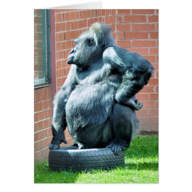 Tarjeta GORILLA (Frente)