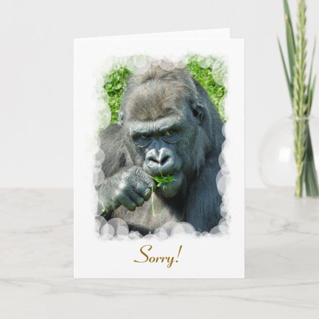 TARJETA GORILLAS (Anverso)