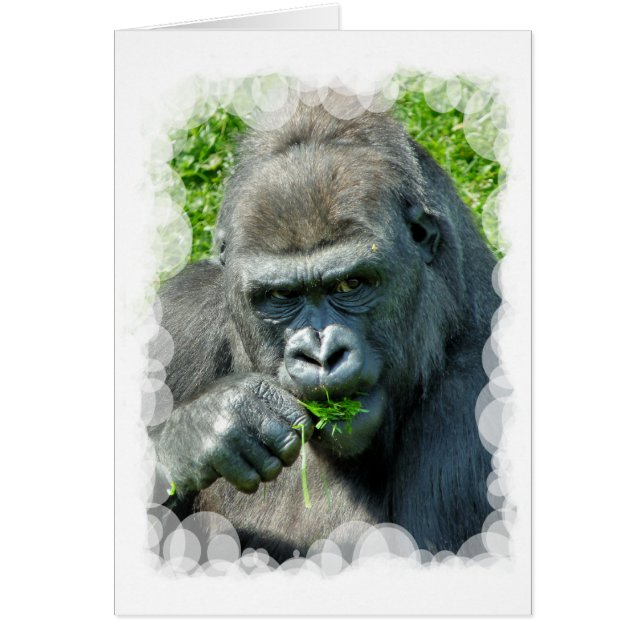 Tarjeta GORILLAS (Frente)