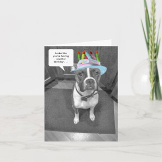 Tarjeta Gorra de cumpleaños Brindle Boxer