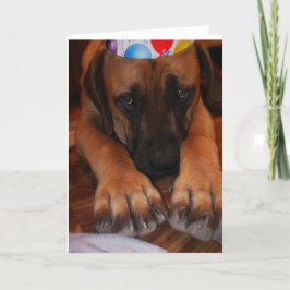Tarjeta Gorra de la fiesta de cumpleaños del mastín que
