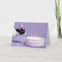 Gorra del cumpleaños del gato que lleva que sopla