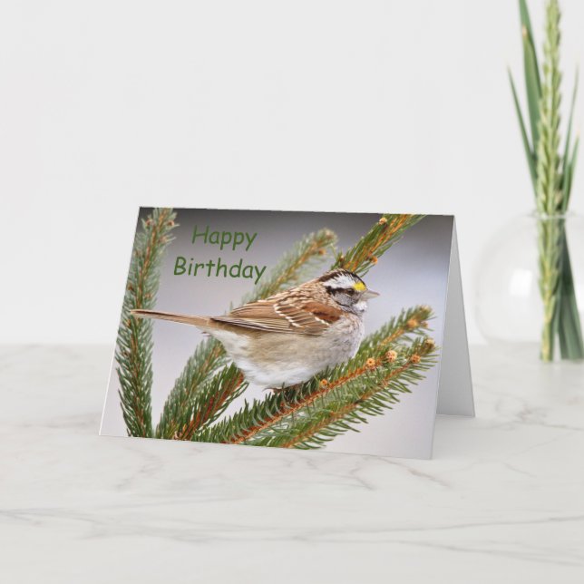 Tarjeta Gorrión en un pino (Anverso)