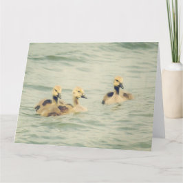 Tarjeta Goslings Baby Geese Big Note Card