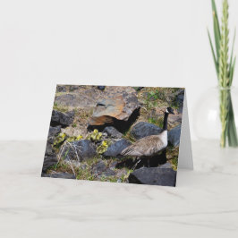 Tarjeta Goslings First Outing Gracias Card