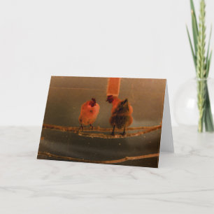 Tarjeta "Gossiping" Pollos Perchados Transformados Digital