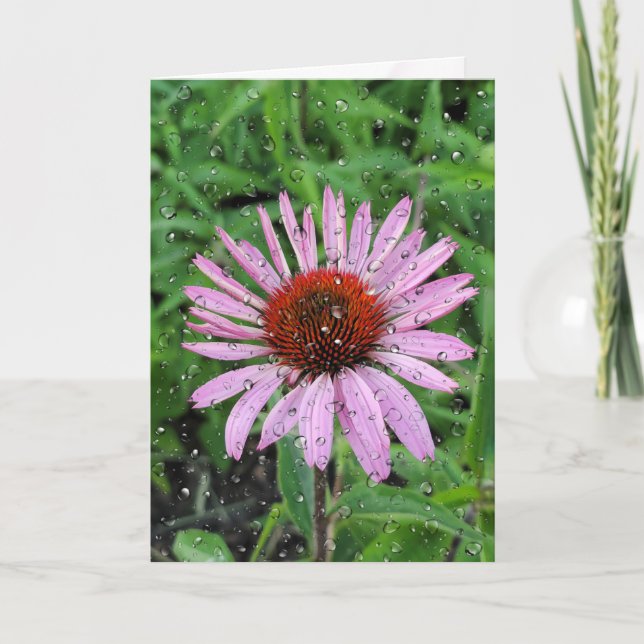 Tarjeta Gotas de lluvia en la flor de cono (Anverso)
