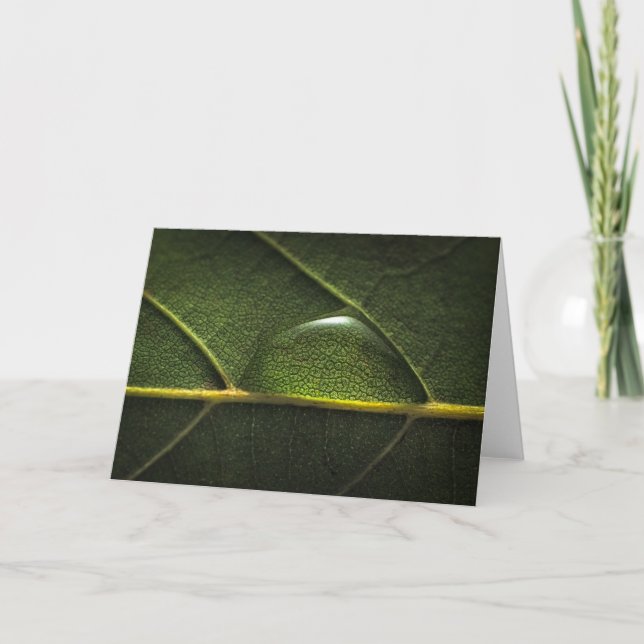 Tarjeta Gotitas de la hoja (Anverso)